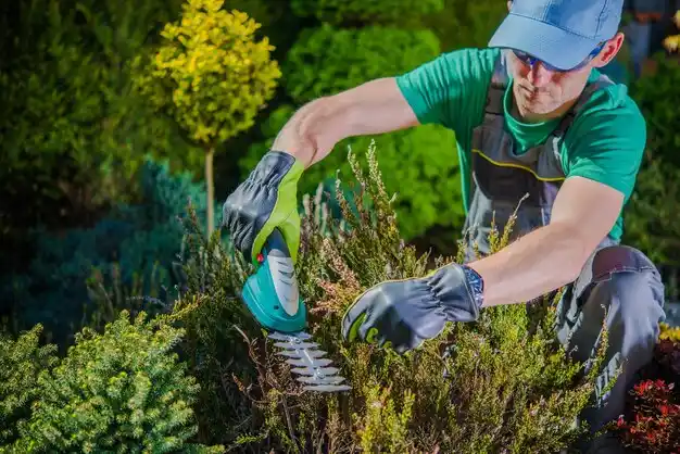 landscaping services Slaughter
